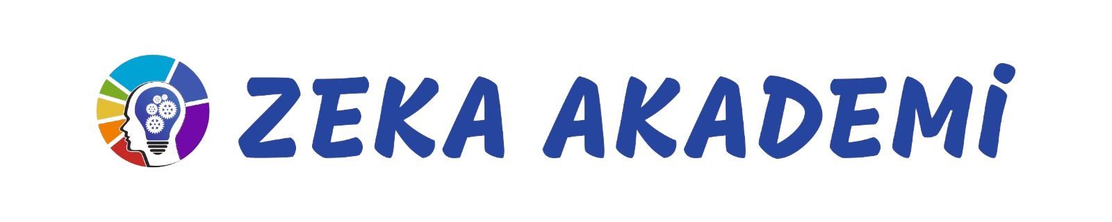 Zeka Akademi